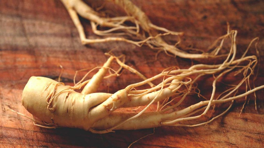 Il Ginseng e le sue proprietà curative