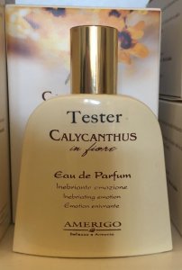 Eau de parfum Calycanthus Amerigo- calicanto