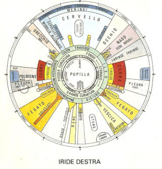 Iride destra- Analisi iridologica a Forlì