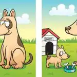 Τεστ IQ: πρέπει να βρείτε 5 διαφορές μεταξύ της εικόνας