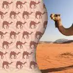 Μόνο οι σύγχρονοι Σέρλοκ Χολμς θα βρουν την παράξενη καμήλα: