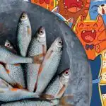 Ανάγκη να βρείτε ψάρια ανάμεσα σε γάτες: ένα διασκεδαστικό παζλ